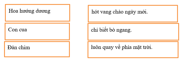 Đề thi Học kì 2 Tiếng Việt lớp 1 có đáp án | Kết nối tri thức (5 đề)