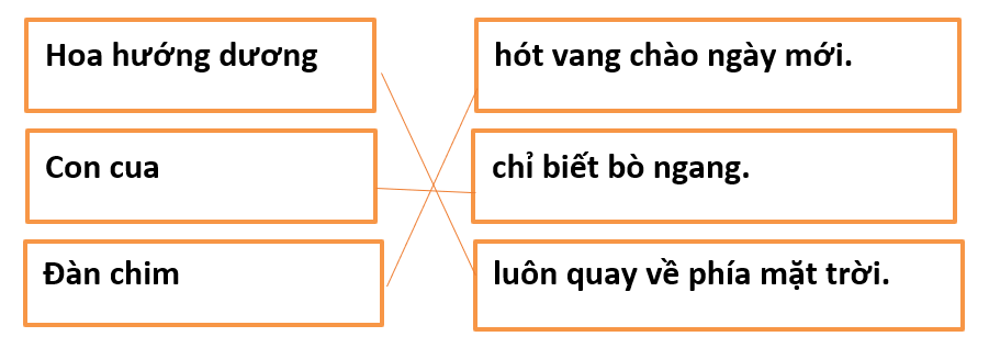 [Năm 2022] Đề thi Học kì 2 Tiếng Việt lớp 1 có đáp án | Kết nối tri thức (5 đề)