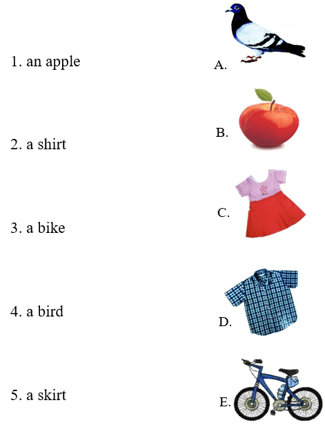 Đề thi môn Tiếng Anh lớp 1 Học kì 1 có đáp án (Đề 5)
