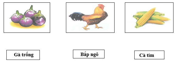 Đề thi Tiếng Việt lớp 1 Học kì 2 năm 2022 tải nhiều nhất (7 đề) | Cánh diều