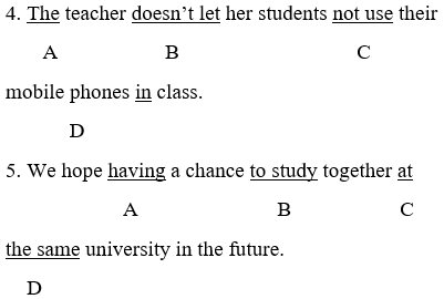 Đề thi Giữa kì 1 Tiếng Anh lớp 10 mới có đáp án (Đề 2)