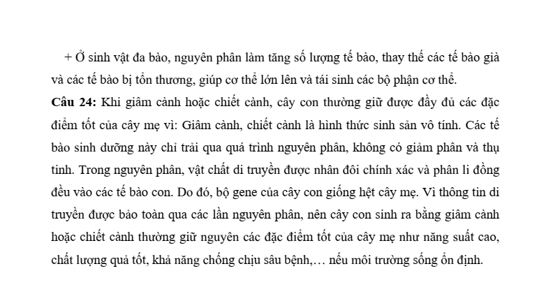 6+ Đề thi Giữa kì 2 Sinh học 10 Kết nối tri thức (có đáp án)