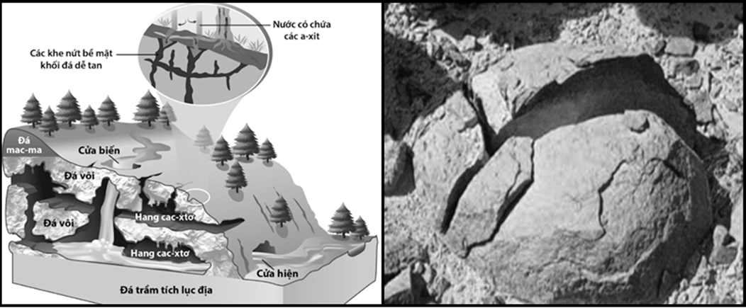 5 Đề thi Giữa kì 1 Địa Lí 10 Cánh diều (có đáp án)