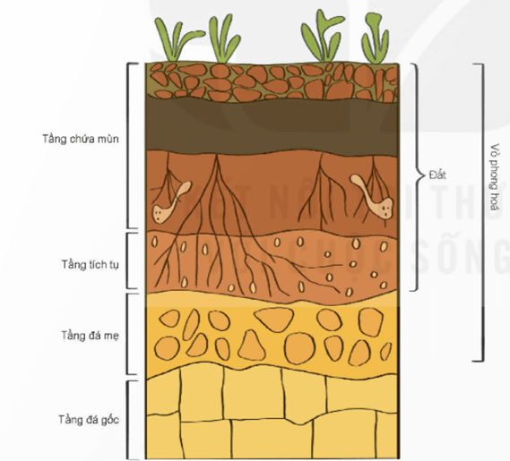 8 Đề thi Học kì 1 Địa Lí 10 Cánh diều (có đáp án)