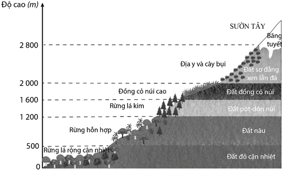 8 Đề thi Học kì 1 Địa Lí 10 Chân trời sáng tạo (có đáp án)