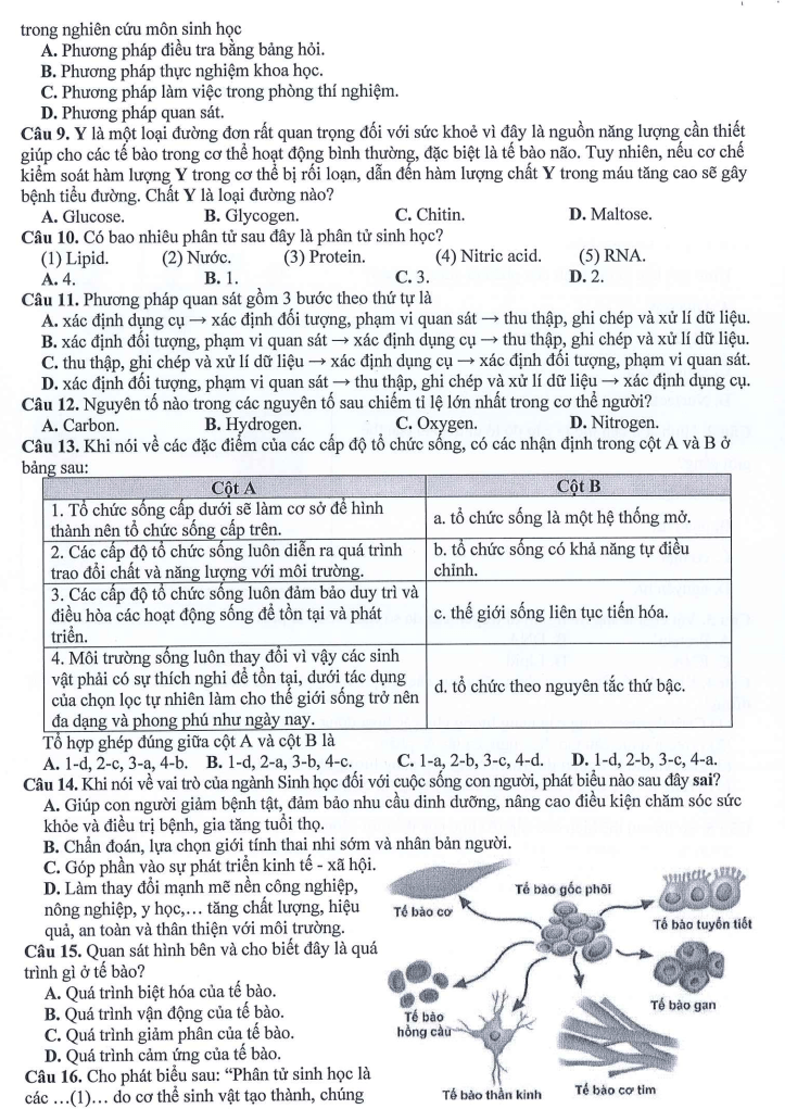 Đề thi Giữa kì 1 Sinh học 10 năm 2024-2025 trường THPT Dĩ An (Bình Dương)
