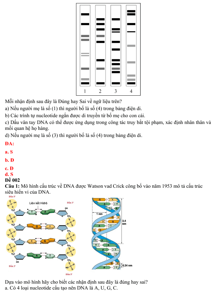 Đề thi Giữa kì 1 Sinh học 10 năm 2024-2025 trường THPT Gio Linh (Quảng Trị)