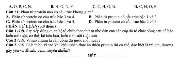 Đề thi Giữa kì 1 Sinh học 10 năm 2024-2025 trường THPT Hồ Nghinh (Quảng Nam)