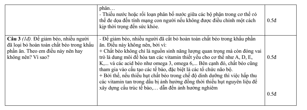 Đề thi Giữa kì 1 Sinh học 10 năm 2024-2025 trường THPT Hồ Nghinh (Quảng Nam)
