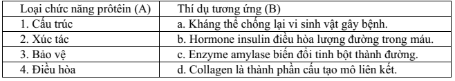 Đề thi Giữa kì 1 Sinh học 10 năm 2024-2025 trường THPT Nguyễn Huệ (Quảng Nam)