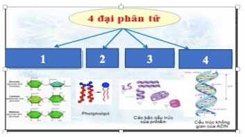 Đề thi Giữa kì 1 Sinh học 10 năm 2025-2026 trường THPT Nguyễn Trãi (Đà Nẵng)