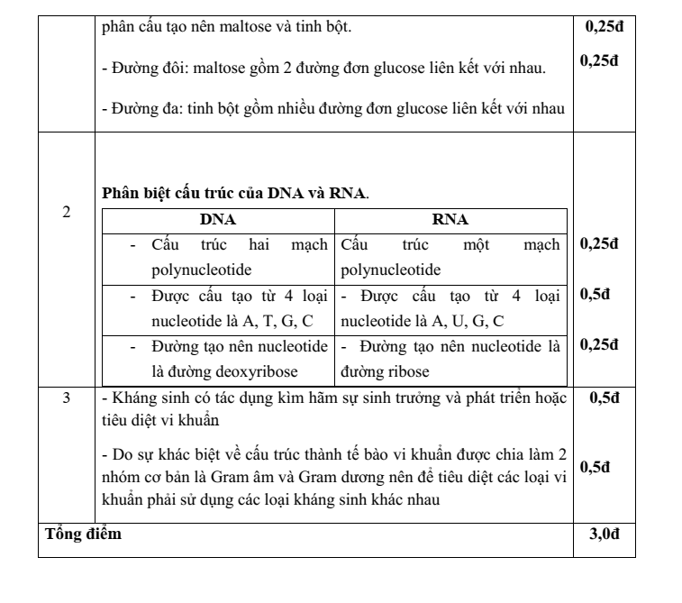 Đề thi Giữa kì 1 Sinh học 10 năm 2025-2026 trường THPT Số 1 Ngô Gia Tự (Đắk Lắk)