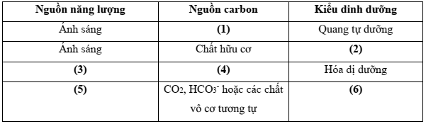 Đề thi Giữa kì 2 Sinh học 10 năm 2024-2025 trường THPT Bố Hạ (Bắc Giang)