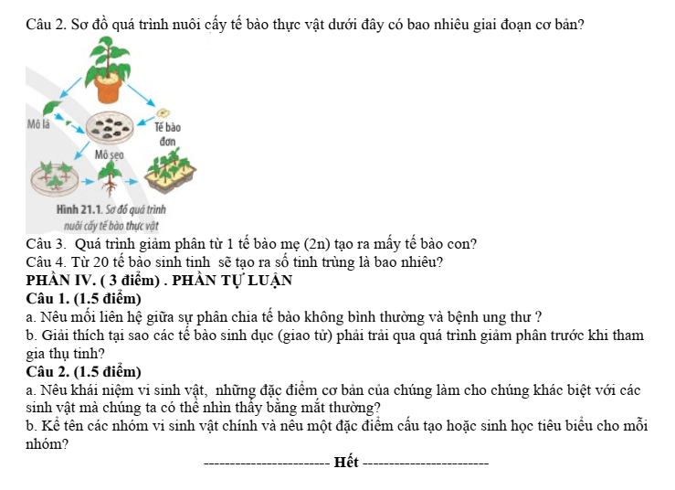 Đề thi Giữa kì 2 Sinh học 10 năm 2025-2026 trường THPT Duy Tân (Quảng Ngãi)