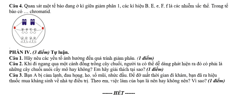 Đề thi Giữa kì 2 Sinh học 10 năm 2025-2026 trường THPT Hùng Vương (Đà Nẵng)
