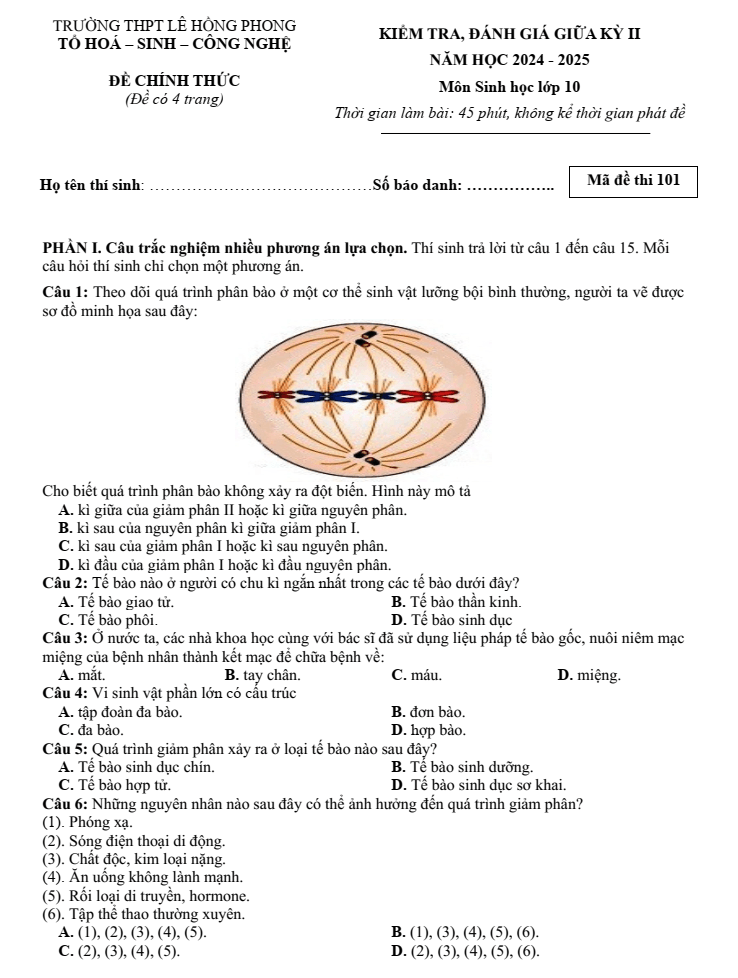 Đề thi Giữa kì 2 Sinh học 10 năm 2024-2025 trường THPT Lê Hồng Phong (Đắk Lắk)