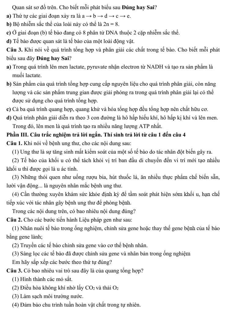 Đề thi Giữa kì 2 Sinh học 10 năm 2025-2026 trường THPT Số 1 Ngô Gia Tự (Đắk Lắk)