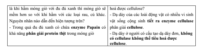 Đề thi Học kì 1 Sinh học 10 năm 2025-2026 trường THPT Lương Thế Vinh (Tp.HCM)