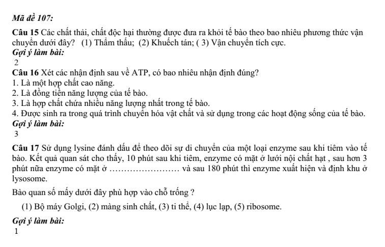 Đề thi Học kì 1 Sinh học 10 năm 2025-2026 trường THPT Nguyễn Trãi (Đà Nẵng)