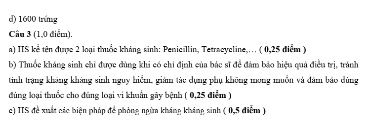 Đề thi Học kì 2 Sinh học 10 năm 2025-2026 trường THPT Bình Chiểu (Tp.HCM)