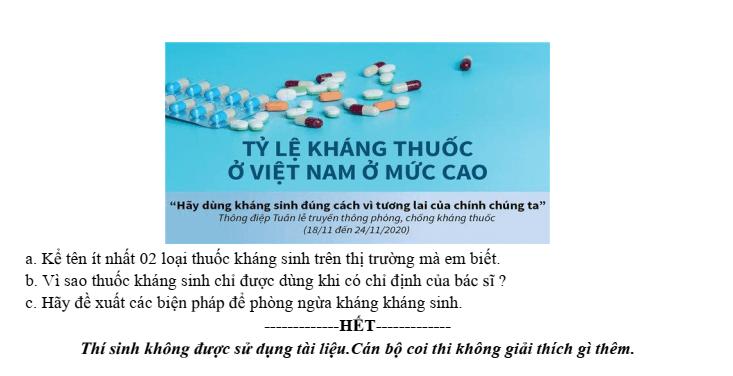 Đề thi Học kì 2 Sinh học 10 năm 2025-2026 trường THPT Bình Chiểu (Tp.HCM)
