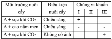 Đề thi Học kì 2 Sinh học 10 năm 2024-2025 trường THPT Gio Linh (Quảng Trị)