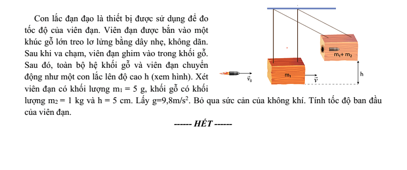 Đề thi Học kì 2 Vật Lí 10 năm 2024-2025 trường THPT Gio Linh (Quảng Trị)
