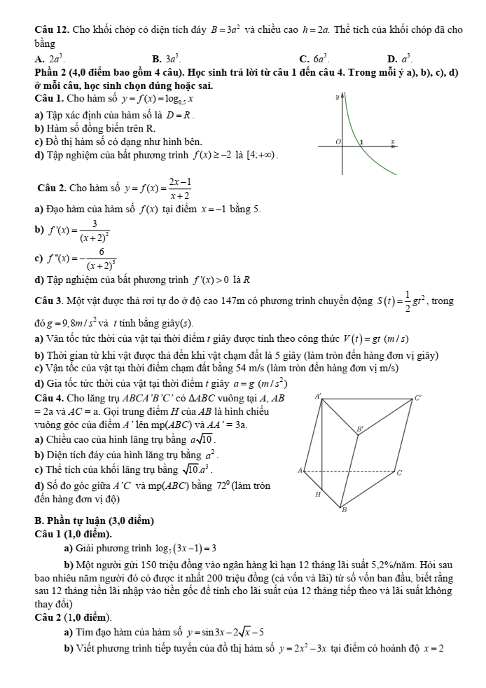 Đề cương ôn tập Học kì 2 Toán 11 trường THPT Nguyễn Việt Hồng năm 2024-2025