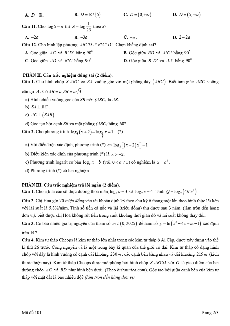 Đề thi Giữa kì 2 Toán 11 trường THPT Hàng Hải 1 (Hải Phòng) năm 2024-2025