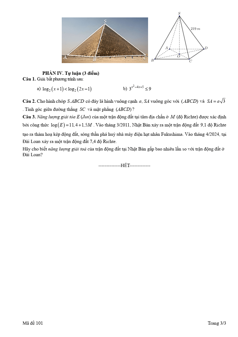 Đề thi Giữa kì 2 Toán 11 trường THPT Hàng Hải 1 (Hải Phòng) năm 2024-2025