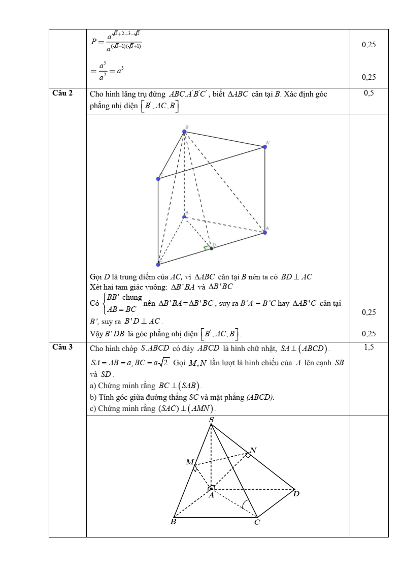 Đề thi Giữa kì 2 Toán 11 trường THPT Hướng Hóa (Quảng Trị) năm 2024-2025
