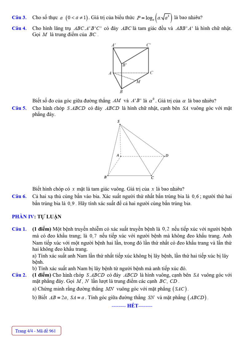 Đề thi Giữa kì 2 Toán 11 trường THPT Nguyễn Du (Nam Định) năm 2024-2025