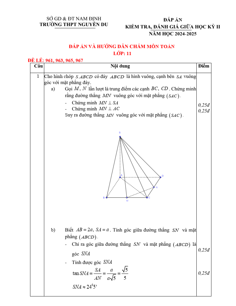 Đề thi Giữa kì 2 Toán 11 trường THPT Nguyễn Du (Nam Định) năm 2024-2025