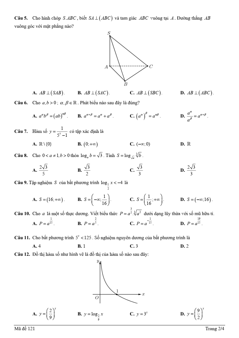 Đề thi Giữa kì 2 Toán 11 trường THPT Nguyễn Hữu Huân (Tp.HCM) năm 2024-2025