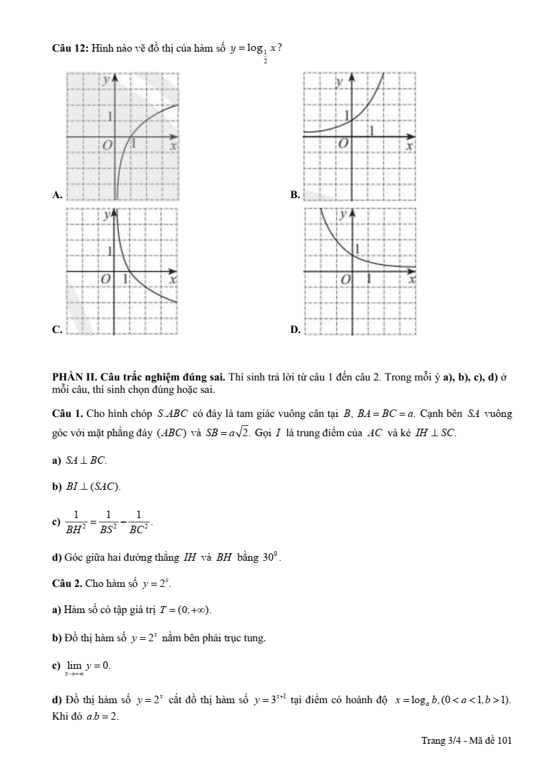 Đề thi Giữa kì 2 Toán 11 trường THPT Phan Bội Châu (Bình Thuận) năm 2024-2025