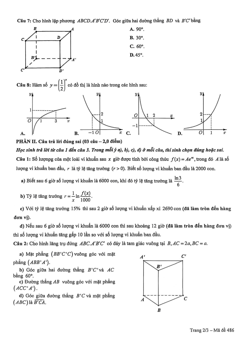 Đề thi Giữa kì 2 Toán 11 trường THPT Phan Châu Trinh (Đà Nẵng) năm 2025-2026