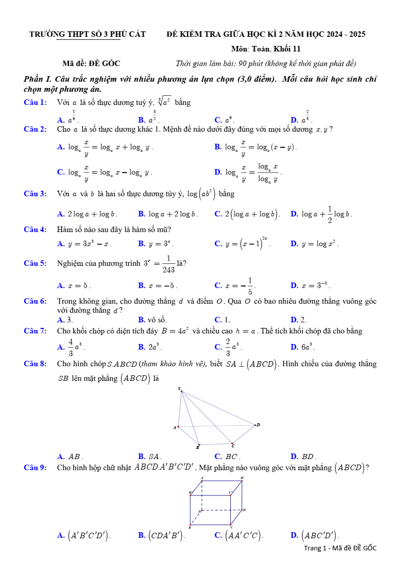 Đề thi Giữa kì 2 Toán 11 trường THPT Phù Cát 3 (Bình Định) năm 2024-2025