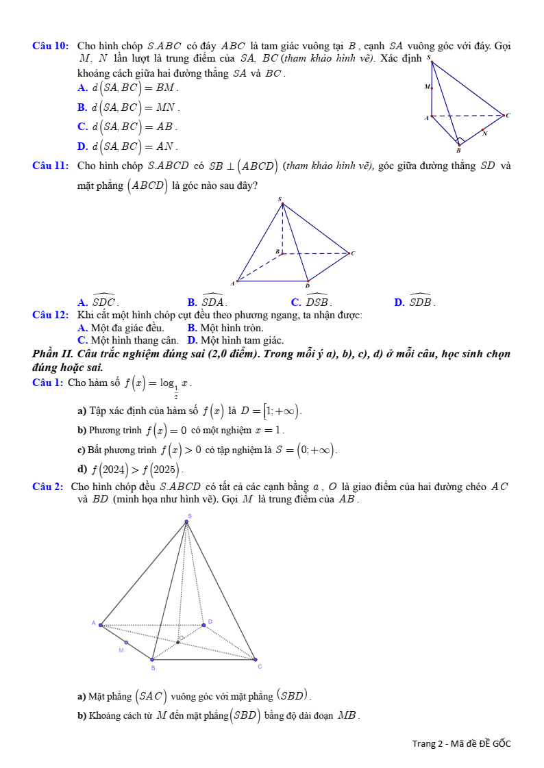 Đề thi Giữa kì 2 Toán 11 trường THPT Phù Cát 3 (Bình Định) năm 2024-2025