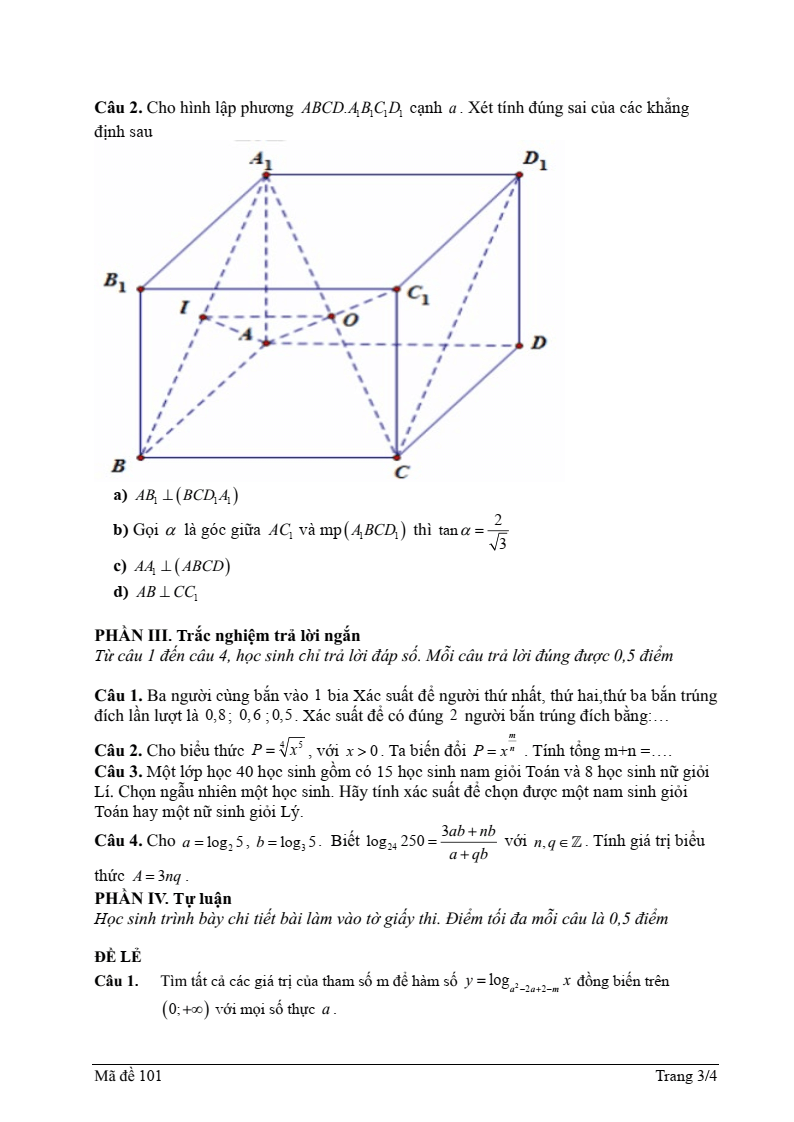 Đề thi Giữa kì 2 Toán 11 trường THPT Thanh Miện 2 (Hải Dương) năm 2024-2025