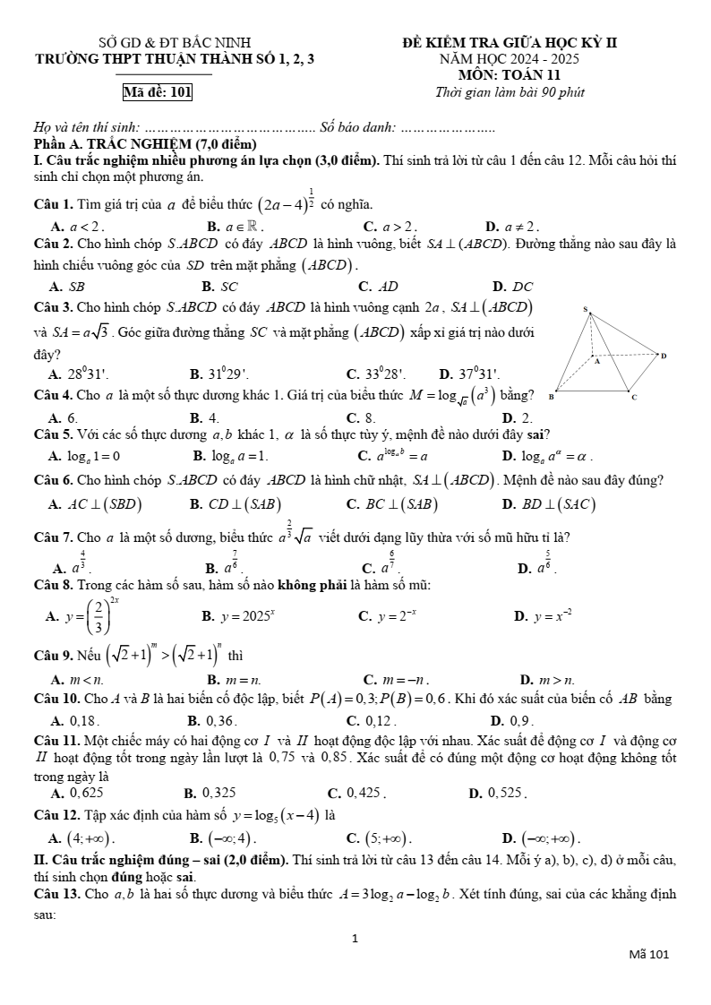 Đề thi Giữa kì 2 Toán 11 trường THPT Thuận Thành 1-2-3 (Bắc Ninh) năm 2024-2025