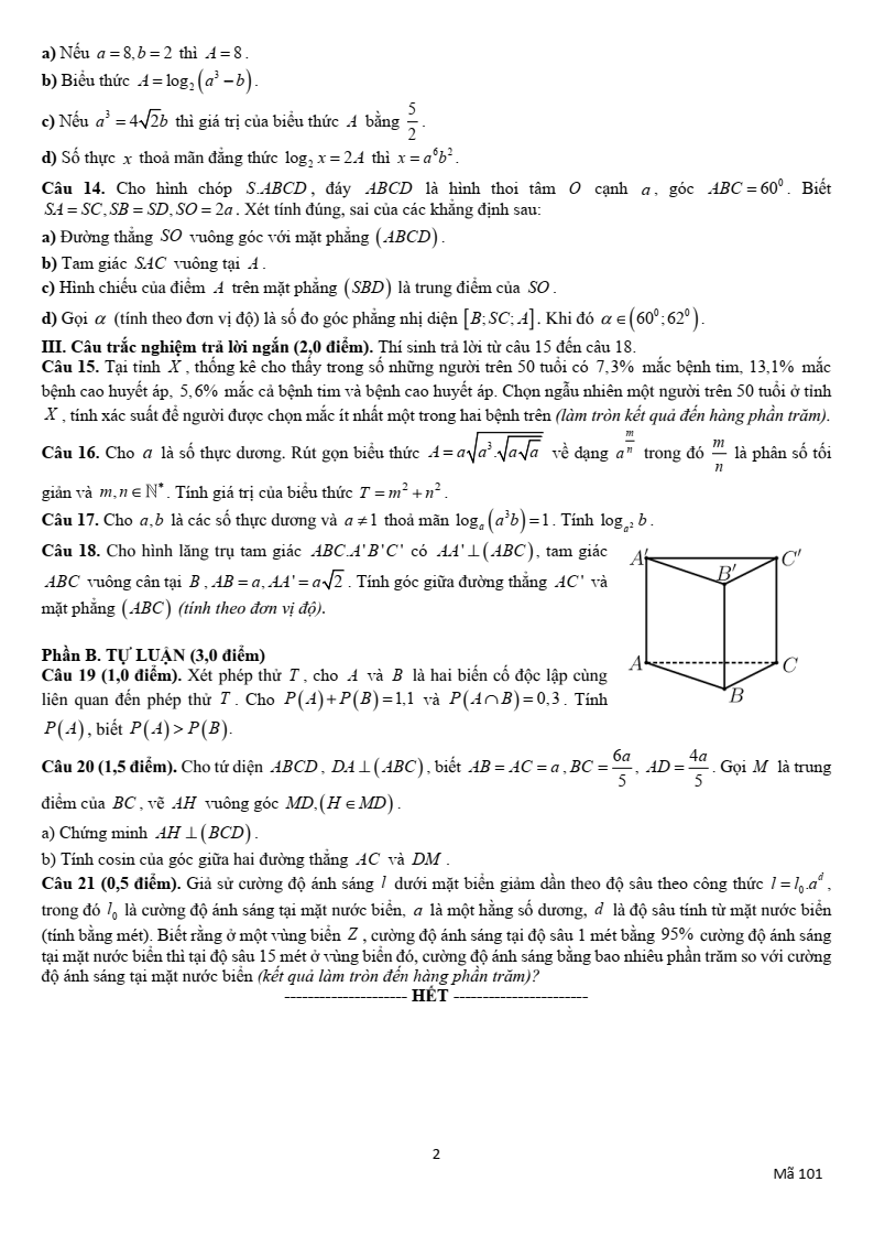 Đề thi Giữa kì 2 Toán 11 trường THPT Thuận Thành 1-2-3 (Bắc Ninh) năm 2024-2025