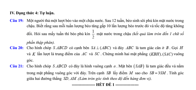 Đề thi Giữa kì 2 Toán 11 trường THPT Việt Đức (Hà Nội) năm 2024-2025