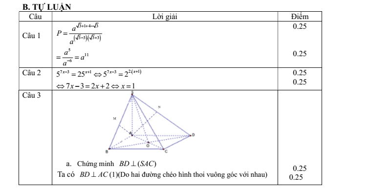 Đề thi Giữa kì 2 Toán 11 trường THPT Vĩnh Linh (Quảng Trị) năm 2024-2025