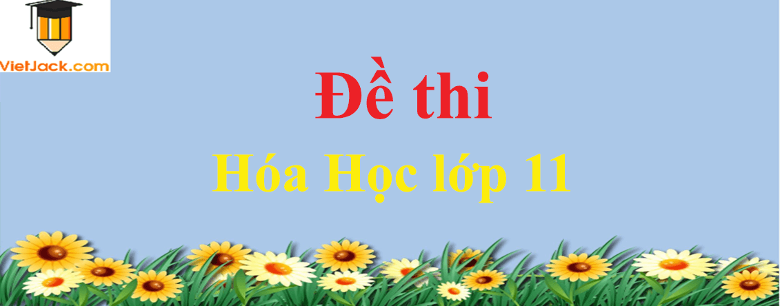 Bộ Đề thi Hóa Học lớp 11 năm 2022 - 2023