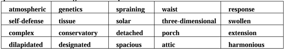 Đề thi Học kì 1 Tiếng Anh 11 trường THPT Nguyễn Tất Thành (TP.HCM) năm 2024-2025
