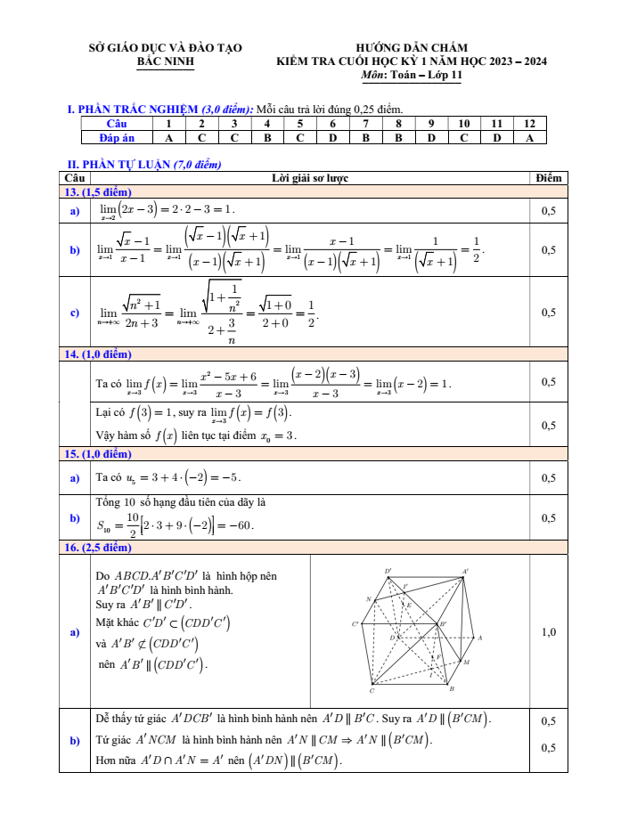 Đề thi Học kì 1 Toán 11 năm 2023-2024 sở GD&ĐT Bắc Ninh