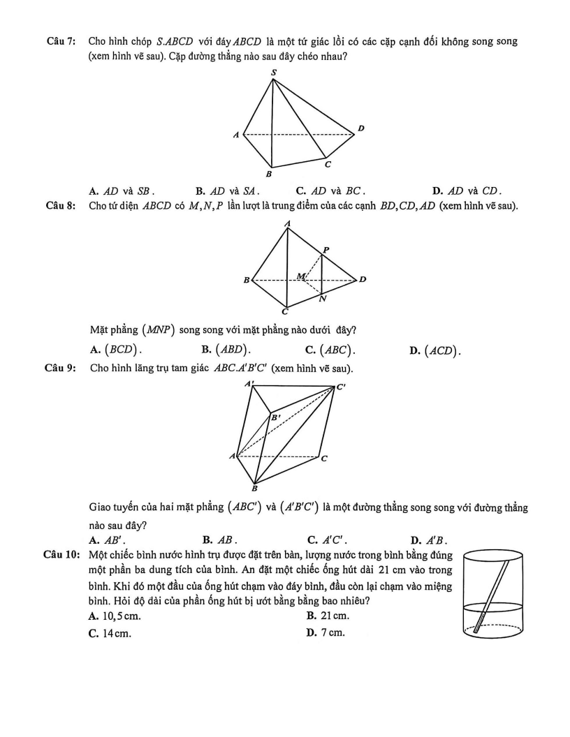 Đề thi Học kì 1 Toán 11 trường THPT Bình Hưng Hòa năm 2025-2026