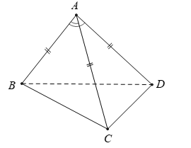 Đề thi Học kì 2 Toán lớp 11 cực hay, có đáp án (Đề 2)