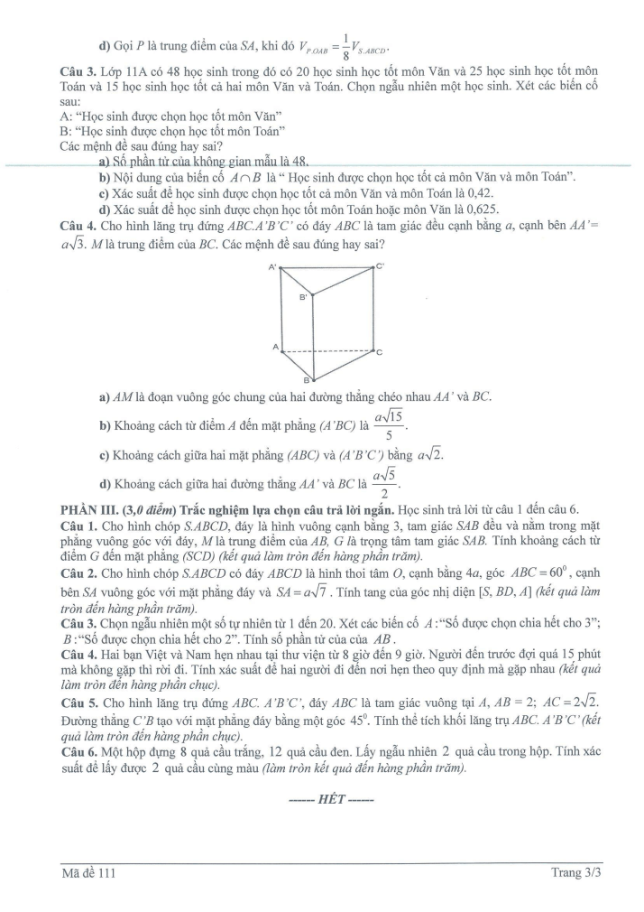 Đề thi Học kì 2 Toán 11 năm 2023-2024 trường THPT Nguyễn Quốc Trinh (Hà Nội)