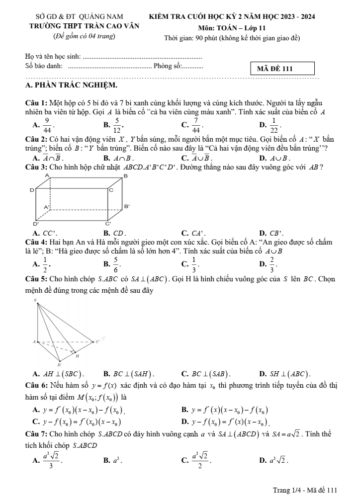 Đề thi Học kì 2 Toán 11 năm 2023-2024 trường THPT Trần Cao Vân (Quảng Nam)